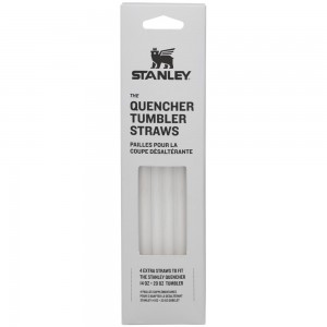 Grey Stanley Replacement Straw 4 Pack | 14 OZ to 20 OZ Quencher Tumbler Straws | 91837DOGF