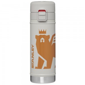 Grey Stanley The Wild Imagination Flowsteady™ Big Bear Bottle | 17 OZ Water Bottles | 06425TMOP