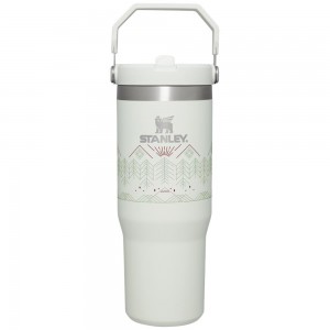 Grey Stanley Winterscape IceFlow™ Flip Straw Tumbler | 30 OZ Water Bottles | 31789KVMU