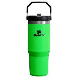 Neon Green Stanley The Neon IceFlow™ Flip Straw Tumbler | 30 OZ Water Bottles | 35490UPKG