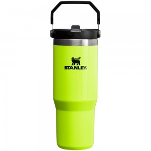 Neon Yellow Stanley The Neon IceFlow™ Flip Straw Tumbler | 30 OZ Water Bottles | 04916YFTK