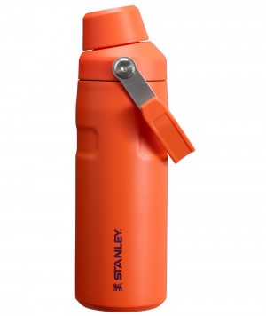 Orange Stanley IceFlow™ Bottle with Fast Flow Lid | 16 OZ Water Bottles | 18642WRTV