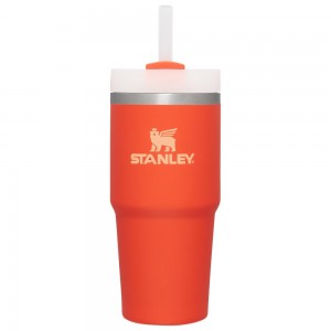 Orange Stanley Quencher H2.0 Travel Tumbler | 14 OZ Water Bottles | 81342PHTQ