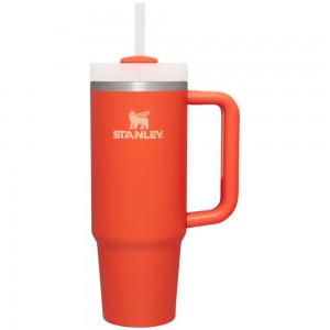 Orange Stanley Quencher H2.0 Travel Tumbler | 30 OZ Water Bottles | 29354TOJE