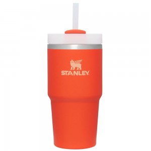 Orange Stanley Quencher H2.0 Travel Tumbler | 20 OZ Water Bottles | 71052IVHN