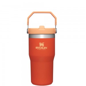 Orange Stanley The IceFlow Flip Straw Tumbler | 20 OZ | Insulated Water Tumbler | Sta Water Bottles | 08453CJYM