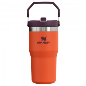 Orange Stanley The IceFlow Flip Straw Tumbler | 20 OZ | Insulated Water Tumbler | Sta Water Bottles | 73085DIQS