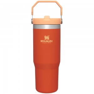 Orange Stanley The IceFlow Flip Straw Tumbler | 30 OZ | Insulated Water Water Bottles | 56284FMZN