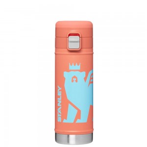 Orange Stanley The Wild Imagination Flowsteady™ Big Bear Bottle | 17 OZ Water Bottles | 89561FAZE