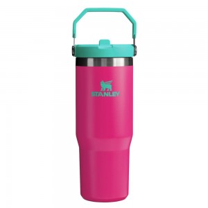 Passion Pink Stanley The Heat Wave IceFlow™ Flip Straw Tumbler | 30 OZ JUGS | 25147TQGM