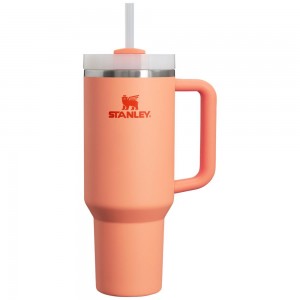 Pink Stanley Adventure Quencher H2.0 Travel | 40 OZ Tumbler | 51428JPGM