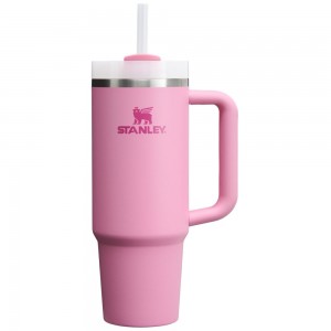 Pink Stanley Quencher H2.0 Travel Tumbler | 30 OZ Water Bottles | 58174REYV