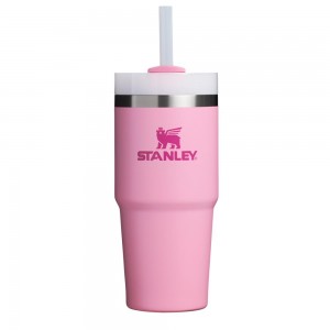 Pink Stanley Quencher H2.0 Travel Tumbler | 14 OZ Water Bottles | 39570FYDC