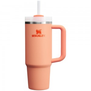 Pink Stanley Quencher H2.0 Travel | 30 OZ Tumbler | 71593JCAQ