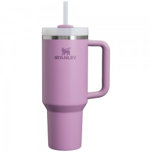 Purple Stanley Adventure Quencher H2.0 Travel | 40 OZ Tumbler | 01428SJCP