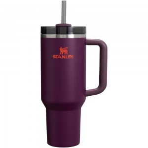 Purple Stanley Adventure Quencher H2.0 Travel Tumbler | 40 OZ Water Bottles | 52098ZELI