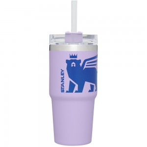 Purple Stanley Adventure Quencher Travel | 14 OZ Tumbler | 26089NYQK