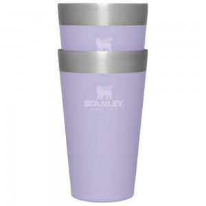 Purple Stanley Adventure Stacking Stainless Steel Beer Pint | 2 Pack | 16OZ Tumbler Water Bottles | 59107TGLA