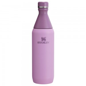 Purple Stanley All Day Slim Bottle | 20 OZ Water Bottles | 05271QECA