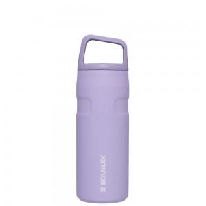 Purple Stanley IceFlow™ Bottle with Cap and Carry+ Lid | 16 OZ Water Bottles | 25397YRVL