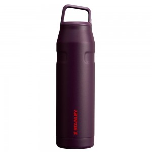 Purple Stanley IceFlow™ Bottle with Cap and Carry+ Lid | 36 OZ Water Bottles | 01495IMHP