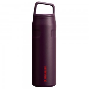 Purple Stanley IceFlow™ Bottle with Cap and Carry+ Lid | 24 OZ Water Bottles | 09712RJEK