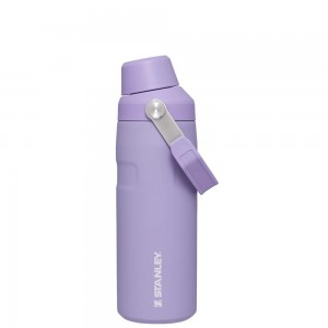 Purple Stanley IceFlow™ Bottle with Fast Flow Lid | 16 OZ Water Bottles | 13506EVDN