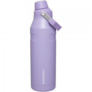 Purple Stanley IceFlow™ Bottle with Fast Flow Lid | 50 OZ Water Bottles | 93147LZVY