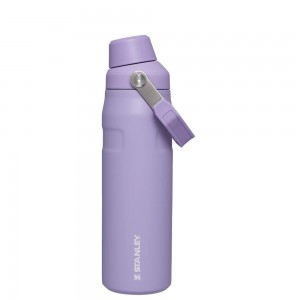 Purple Stanley IceFlow Insulated Bottle with Fast Flow Lid | 24 OZ Water Bottles | 64187SZFR