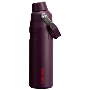 Purple Stanley IceFlow Insulated Bottle with Fast Flow Lid | 24 OZ Water Bottles | 89326NFLR