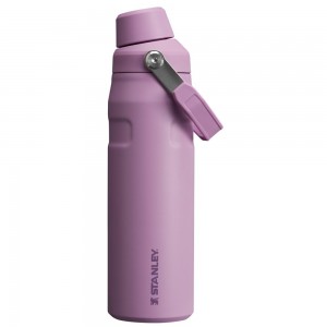 Purple Stanley IceFlow Insulated Bottle with Fast Flow Lid | 24 OZ Water Bottles | 14378OZIE