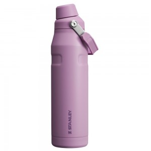 Purple Stanley IceFlow Insulated Bottle with Fast Flow Lid | 36 OZ Water Bottles | 07629ROPE