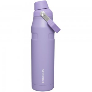 Purple Stanley IceFlow Insulated Bottle with Fast Flow Lid | 36 OZ Water Bottles | 98735VIWC