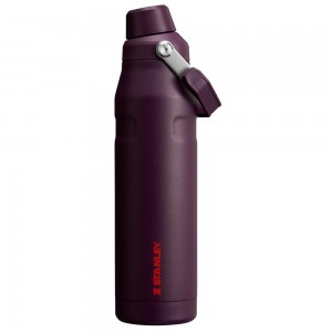 Purple Stanley IceFlow Insulated Bottle with Fast Flow Lid | 36 OZ Water Bottles | 71395OJCW