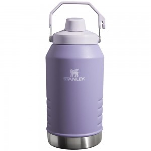 Purple Stanley IceFlow™ Jug with Fast Flow Lid | 96 OZ Water Bottles | 89426ZJNH