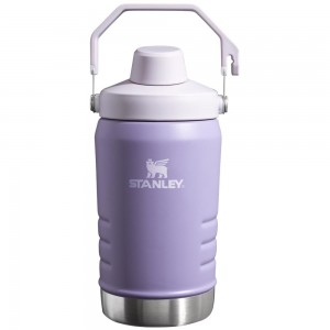 Purple Stanley IceFlow™ Jug with Fast Flow Lid | 40 OZ Water Bottles | 41958LYUT