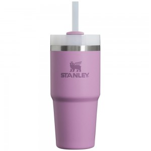 Purple Stanley Quencher H2.0 Travel Tumbler | 14 OZ Water Bottles | 58347SIQL