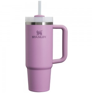 Purple Stanley Quencher H2.0 Travel Tumbler | 30 OZ Water Bottles | 98231HGQP