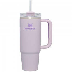 Purple Stanley Quencher H2.0 Travel Tumbler | 30 OZ Water Bottles | 03861RFVG