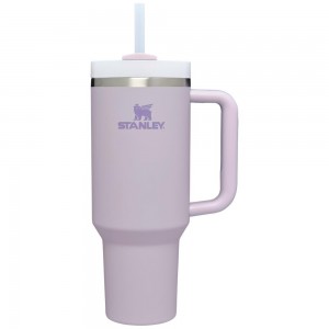 Purple Stanley Quencher H2.0 Travel Tumbler | 40 OZ Water Bottles | 03625YMCE