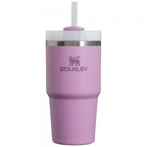 Purple Stanley Quencher H2.0 Travel Tumbler | 20 OZ Water Bottles | 32097HRGY