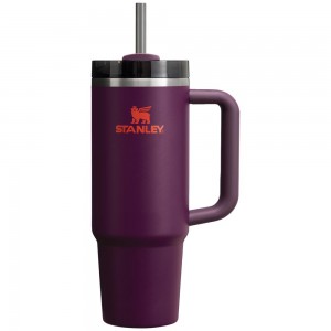 Purple Stanley Quencher H2.0 Travel | 30 OZ Tumbler | 93865ISGP