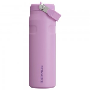 Purple Stanley The IceFlow™ Bottle with Flip Straw Lid | 24 OZ Water Bottles | 56023ECYD