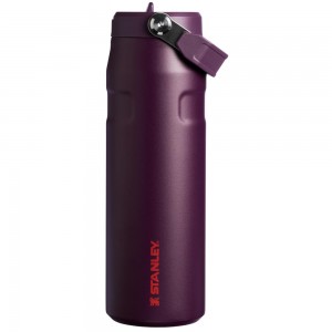 Purple Stanley The IceFlow™ Bottle with Flip Straw Lid | 24 OZ Water Bottles | 32015LNJQ