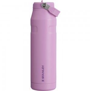 Purple Stanley The IceFlow™ Bottle with Flip Straw Lid | 36 OZ Water Bottles | 19632WADB