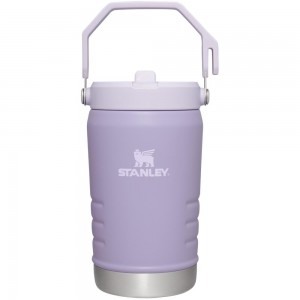 Purple Stanley The IceFlow Flip Straw Jug | 40 OZ | Insulated JUGS | 86930FUYV