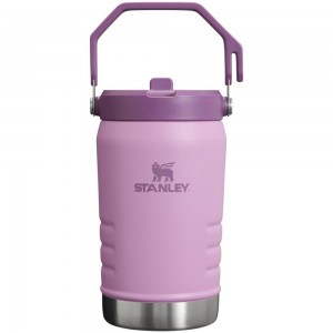 Purple Stanley The IceFlow Flip Straw Jug | 40 OZ | Insulated JUGS | 64092SOEJ