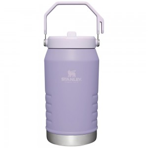 Purple Stanley The IceFlow Flip Straw Jug | 64 OZ | Insulated Water Jug Water Bottles | 61270VJOG