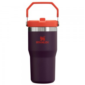 Purple Stanley The IceFlow Flip Straw Tumbler | 20 OZ | Insulated Water Tumbler | Sta Water Bottles | 14529PALC