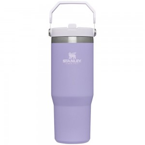 Purple Stanley The IceFlow Flip Straw Tumbler | 30 OZ | Insulated Water Water Bottles | 10867IZXB